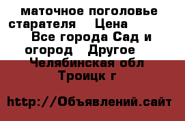 маточное поголовье старателя  › Цена ­ 3 700 - Все города Сад и огород » Другое   . Челябинская обл.,Троицк г.